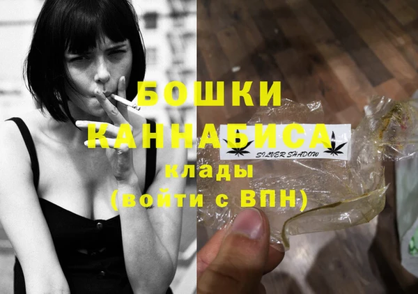 spice Аркадак