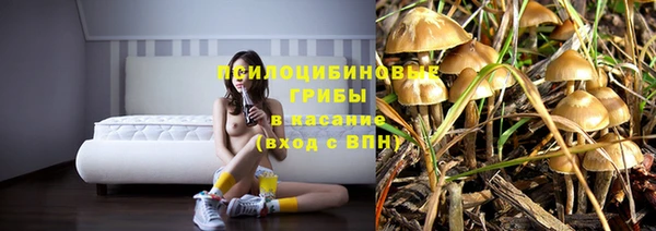 таблы Армянск