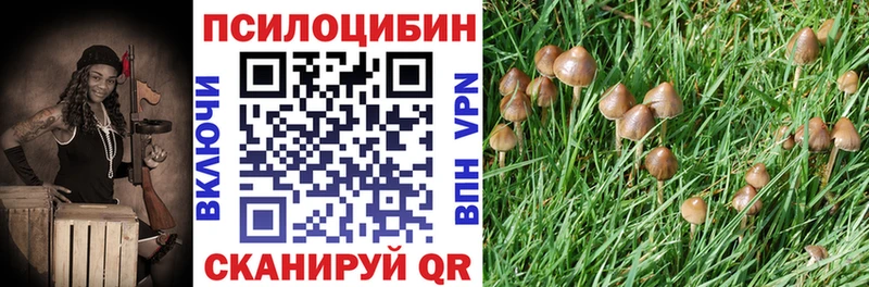 купить   Реж  Галлюциногенные грибы MAGIC MUSHROOMS 